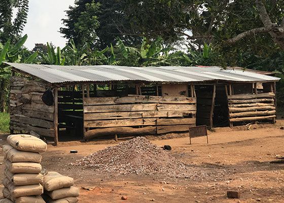 Original Kibale school building